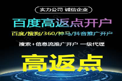 精准投放，高效转化——SEM竞价优化案例集